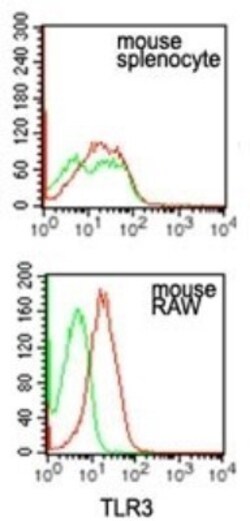 TLR3 Antibody (27N3D4) - BSA Free, Novus Biologicals 0.1mg; Unlabeled:Antibodies,