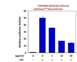 TLR4 Antibody (HTA125) - BSA Free, Novus Biologicals:Antibodies:Primary