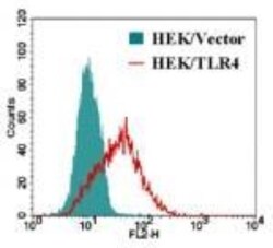 TLR4 Antibody (HTA125) - BSA Free, Novus Biologicals:Antibodies:Primary
