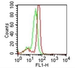 TLR4 Antibody (HTA125) - BSA Free, Novus Biologicals:Antibodies:Primary