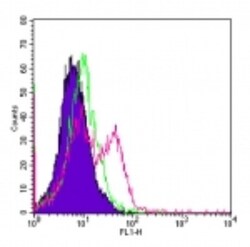 TLR4 Antibody (MTS510) - Azide and BSA Free, Novus Biologicals:Antibodies:Primary