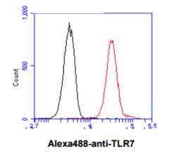 TLR7 Antibody (4F4) - BSA Free, Novus Biologicals 0.1mL; Unlabeled:Antibodies,