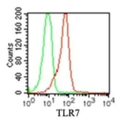 TLR7 Antibody (4G6) - BSA Free, Novus Biologicals:Antibodies:Primary Antibodies