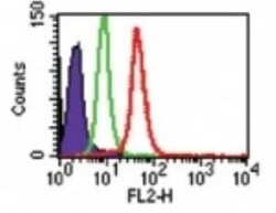TLR8 Antibody (44C143) - BSA Free, Novus Biologicals:Antibodies:Primary