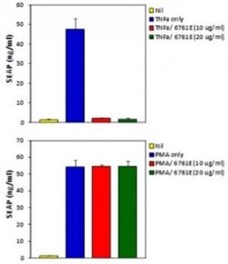 TNF-alpha Antibody (6N1E7) - Azide Free, Novus Biologicals:Antibodies:Primary