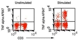 TNF-alpha Antibody (6N1E7) - Azide Free, Novus Biologicals:Antibodies:Primary