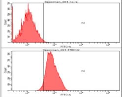 TREM2 Antibody (2B5) - BSA Free, Novus Biologicals:Antibodies:Primary Antibodies