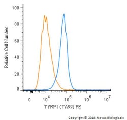 Mouse anti-TYRP1, Clone: TA99, Azide Free, Novus Biologicals 0.2mg; Unlabeled:Antibodies,