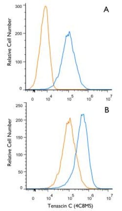 Tenascin C Antibody (4C8MS) - BSA Free, Novus Biologicals 0.1mL; Unlabeled:Antibodies,