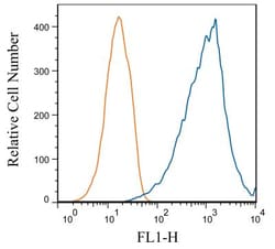 TfR (Transferrin R) Antibody (OX26) - BSA Free, Novus Biologicals 0.1mg;