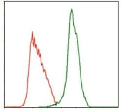Thrombopoietin R/Tpo R Antibody (1H2) - BSA Free, Novus Biologicals 0.1mL;