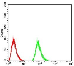 TSH beta Antibody (1D12G1) - BSA Free, Novus Biologicals 0.1mg; Unlabeled:Antibodies,