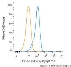 Twist-1 Antibody (10E4E6) - BSA Free, Novus Biologicals:Antibodies:Primary