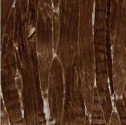 USP53 Antibody, Novus Biologicals 0.1mL; Unlabeled:Antibodies, Polyclonal