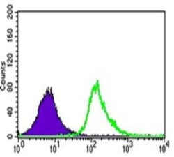 UTF1 Antibody (5B6) - BSA Free, Novus Biologicals 0.1mL; Unlabeled:Antibodies,