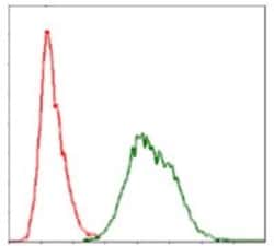 Ubiquitin B Antibody (3C12) - BSA Free, Novus Biologicals 0.1mL; Unlabeled:Antibodies,