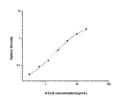 Novus Biologicals™ Universal Acetyl-CoA ELISA Kit (Colorimetric)