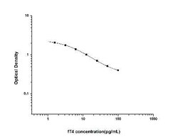 Novus Biologicals&trade;&nbsp;Universal Free Thyroxine ELISA Kit (Colorimetric)