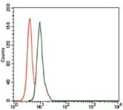 Uteroglobin/SCGB1A1 Antibody (3A8B8) - BSA Free, Novus Biologicals 0.1mL;