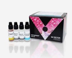 Novus Biologicals VECTASTAIN(R) ABC anti-Rat IgG AP Immunodetection Kit 1 Kit | Buy Online | Novus Biologicals&trade; | Fisher Scientific