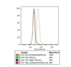 VEGFR2/KDR/Flk-1 Antibody (20I6) - Azide and BSA Free, Novus Biologicals
