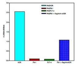 VEGFR2/KDR/Flk-1 Antibody (4H3) - Azide and BSA Free, Novus Biologicals