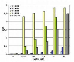 VEGFR1/Flt-1 Antibody (EWC) - Azide and BSA Free, Novus Biologicals:Antibodies:Primary