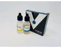 Novus Biologicals VectaFluor(TM) Duet DL594 DL488 Labeling Kit 1 Kit | Buy Online | Novus Biologicals&trade; | Fisher Scientific