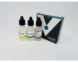 Novus Biologicals VectaFluor(TM) Excel Amp. anti-Mouse IgG DL594 Ab Kit 1 Kit | Buy Online | Novus Biologicals&trade; | Fisher Scientific