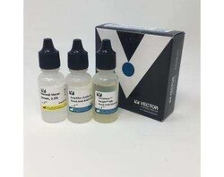 Novus Biologicals VectaFluor(TM) Excel Amp. anti-Rabbit IgG DL488 Ab Kit 1 Kit | Buy Online | Novus Biologicals&trade; | Fisher Scientific