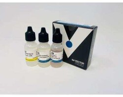 Novus Biologicals VectaFluor(TM) Excel Amp. anti-Rabbit IgG DL594 Ab Kit 1 Kit | Buy Online | Novus Biologicals&trade; | Fisher Scientific