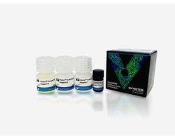 Novus Biologicals&trade;&nbsp;Vector(R) TrueVIEW(TM) Autofluorescence Quenching Kit