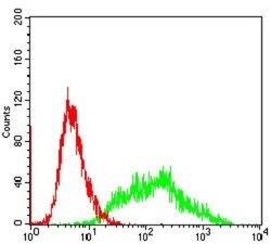 Villin 1 Antibody (3E5G11) - BSA Free, Novus Biologicals 0.1mg; Unlabeled:Antibodies,