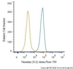 Vimentin Antibody (812), Novus Biologicals 0.1mL; Unlabeled:Antibodies,