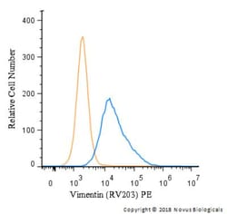 Vimentin Antibody (RV203) - BSA Free, Novus Biologicals 0.1mg; Unlabeled:Antibodies,