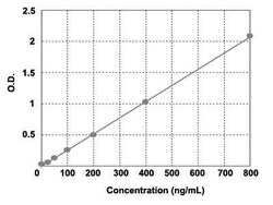 Novus Biologicals™ Human Vimentin ELISA Kit (Colorimetric)