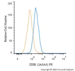 ZEB1 Antibody (2A8A6) - BSA Free, Novus Biologicals 0.025mL; Unlabeled:Antibodies,