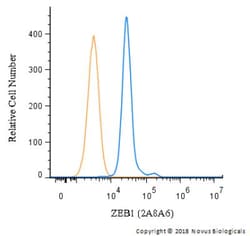 ZEB1 Antibody (2A8A6) - BSA Free, Novus Biologicals 0.025mL; Unlabeled:Antibodies,