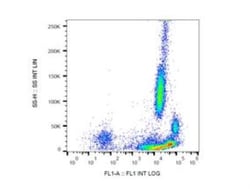 beta 2-Microglobulin Antibody (B2M-01) - BSA Free, Novus Biologicals 0.1mg;