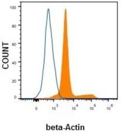 beta-Actin Antibody (AC-15), Novus Biologicals 0.1mL; Unlabeled:Antibodies,