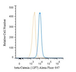 beta-Catenin Antibody (12F7) - BSA Free, Novus Biologicals 0.1mL; Unlabeled:Antibodies,