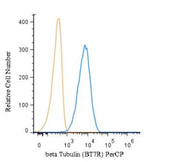 beta Tubulin Antibody (BT7R) - Azide and BSA Free, Novus Biologicals:Antibodies:Primary