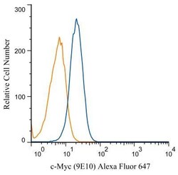 c-Myc Antibody (9E10) - BSA Free, Novus Biologicals:Antibodies:Primary
