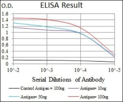 iNOS Antibody (4E5) - BSA Free, Novus Biologicals 0.025mL; Unlabeled:Antibodies,