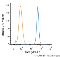 iNOS Antibody (4E5) - BSA Free, Novus Biologicals 0.025mL; Unlabeled:Antibodies,
