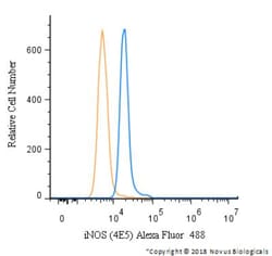 iNOS Antibody (4E5) - BSA Free, Novus Biologicals 0.025mL; Unlabeled:Antibodies,