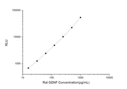 Novus Biologicals Rat GDNF ELISA Kit (Chemiluminescence) 1 Kit | Buy Online | Novus Biologicals&trade; | Fisher Scientific