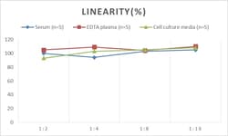 Novus Biologicals Human GIF ELISA Kit (Chemiluminescence) 1 Kit | Buy Online | Novus Biologicals&trade; | Fisher Scientific