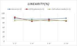 Novus Biologicals Human CCL13/MCP-4 ELISA Kit (Colorimetric) 1 Kit | Buy Online | Novus Biologicals&trade; | Fisher Scientific