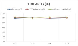 Novus Biologicals&trade;&nbsp;Rabbit Proprotein Convertase 9/PCSK9 ELISA Kit (Colorimetric)